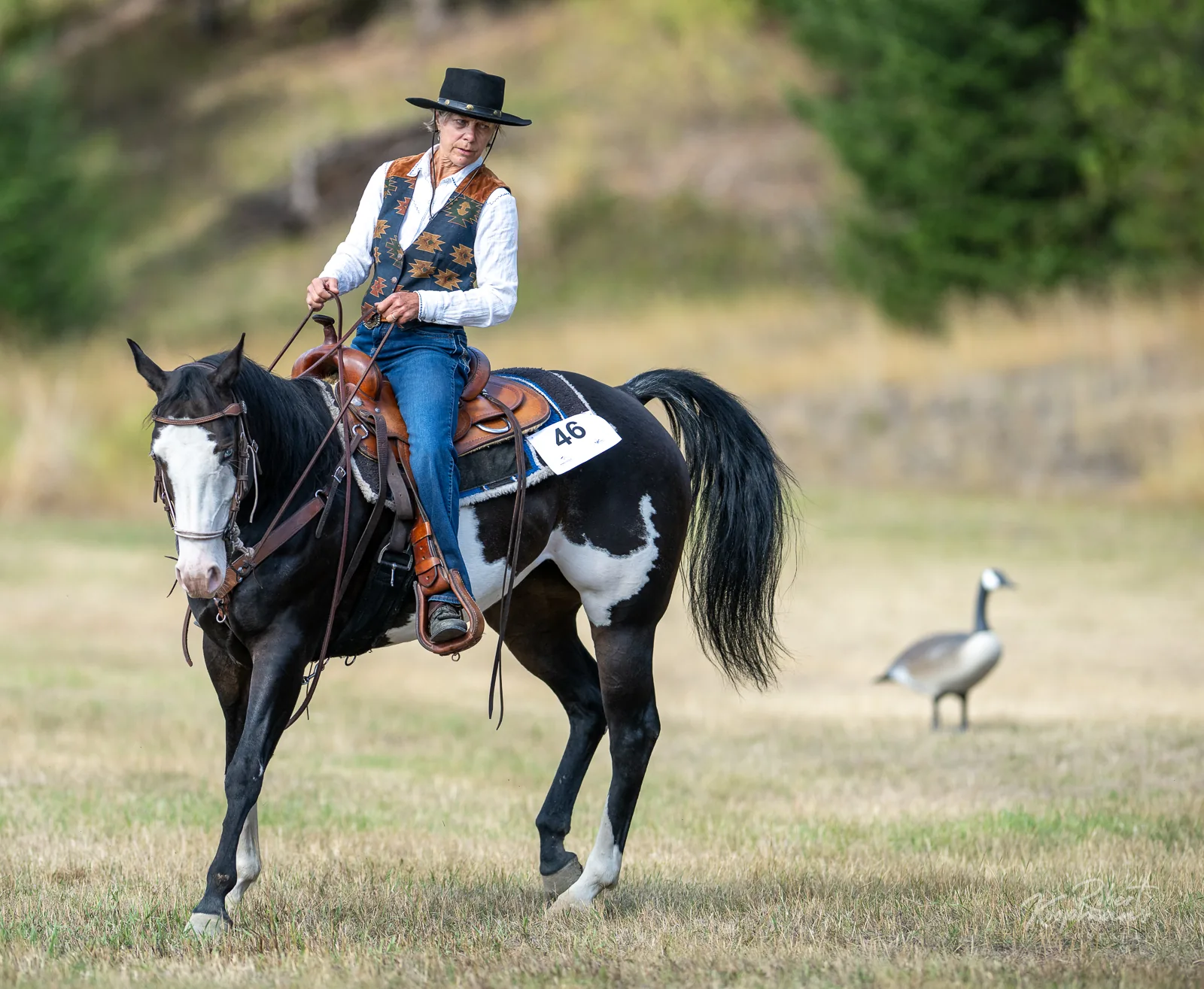 Horses and Riders at the 55+ BC Games